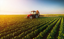 Agriculture Sector